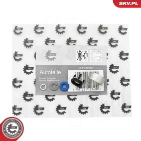 Dichtringsatz, Einspritzventil 53SKV196 von ESEN SKV günstig für 7,36 € online kaufen