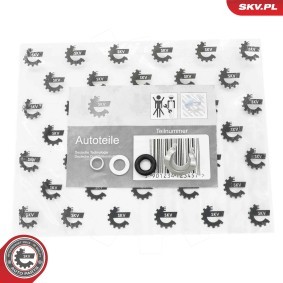 Dichtringsatz, Einspritzventil 53SKV199 von ESEN SKV günstig für 7,96 € online kaufen