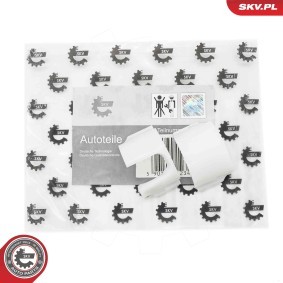 Reparatursatz, Schalthebel des Herstellers ESEN SKV - Originalware Artikelnummer: 96SKV281