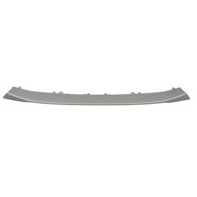Acquista Mostrina, Paraurti da BLIC 5703-05-0092921P a buon mercato per soli 37,16 €