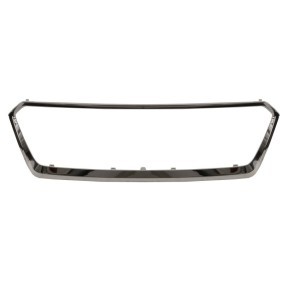 Acquista Mostrina, Paraurti da BLIC 6502-07-6735997P a buon mercato per soli 50,66 €