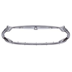 Rahmen, Kühlergitter 6502-07-7707991P TESLA von BLIC