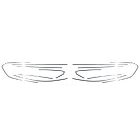 Zier- / Schutzleiste, Türscheibe 5219146 von OMAC günstig für 157,21 € online kaufen