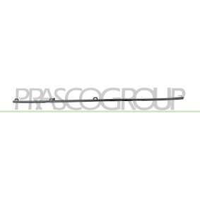 Zier- / Schutzleiste, Kühlergitter von PRASCO