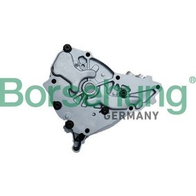 Ölpumpe für BMW von Borsehung