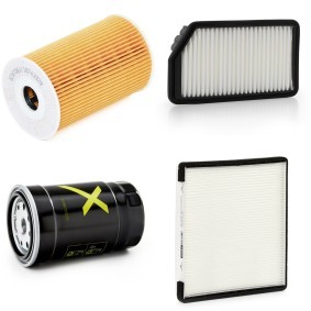 Filterset 4055F28295P von RIDEX PLUS günstig für 47,72 € online kaufen