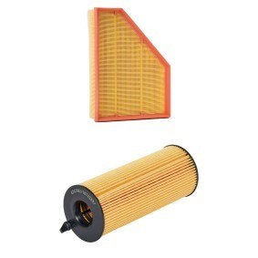 Filterset 4055F1065P von RIDEX PLUS günstig für 38,86 € online kaufen