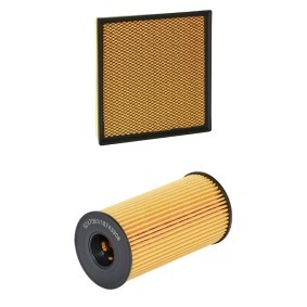 Filterset für NISSAN von RIDEX PLUS