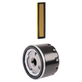 Filterset 4055F1124P von RIDEX PLUS günstig für 15,11 € online kaufen