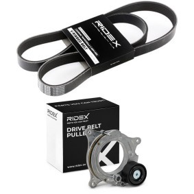 Acquista Kit Cinghie Poly-V da RIDEX 542R1228 a buon mercato per soli 67,27 €