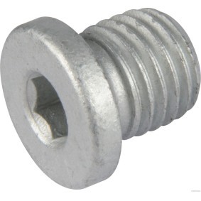 Verschlußschraube, Ölwanne 50240014 von HERTH+BUSS ELPARTS günstig für 2,89 € online kaufen