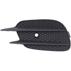 Lüftungsgitter, Stoßfänger 1618349 von DIEDERICHS günstig für 23,44 € online kaufen