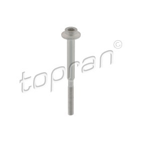 Acquista Bullone, Supporto iniettore da TOPRAN 120 666 a buon mercato per soli 4,74 €