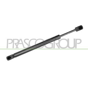 Heckklappendämpfer von PRASCO