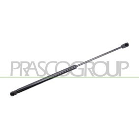 AUDI Heckklappendämpfer von PRASCO