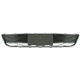 Acquista Griglia paraurti da BLIC 6502-07-3284911P a buon mercato per soli 29,64 €