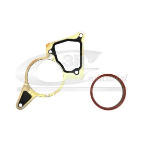Dichtung, Unterdruckpumpe 74300 von 3RG günstig für 14,92 € online kaufen