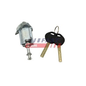 Acquista Maniglia portiera, Equipaggiamento interno da FAST FT00291 a buon mercato per soli 11,59 €