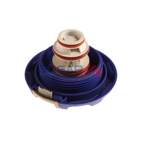 Köp Lock till expansionskärl av BOGAP A4211107 till det låga priset 80,74 kr