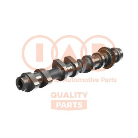 Nockenwelle 124-04051 von IAP QUALITY PARTS günstig für 205,02 € online kaufen