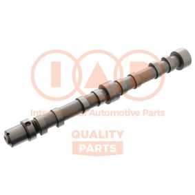 Nockenwelle 124-08031 von IAP QUALITY PARTS günstig für 267,57 € online kaufen