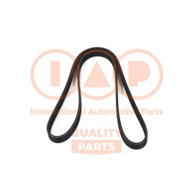 Keilrippenriemen für MG von IAP QUALITY PARTS