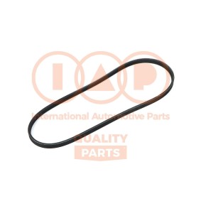 Keilrippenriemen für MG von IAP QUALITY PARTS