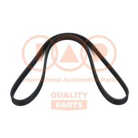 Keilrippenriemen für MG von IAP QUALITY PARTS