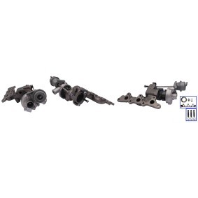 Achetez des Turbocompresseur TURBOS EUROPE TE54319700005 à prix pour 601,81 €
