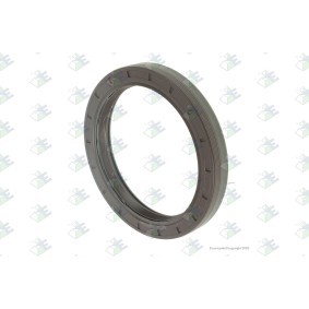 Wellendichtring, Differential für IVECO von Euroricambi