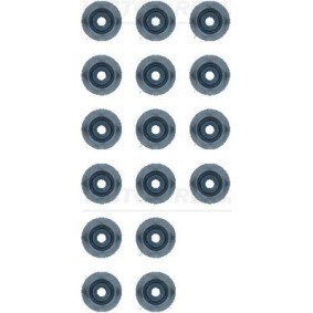 Compre Retenes de válvulas de REINZ online para HILUX VIII Caja/Chasis (_N1_) a precios moderados