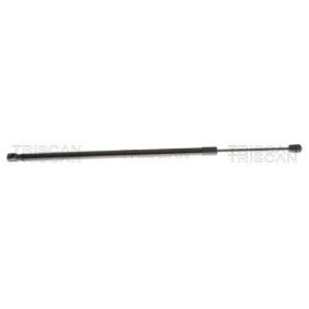 Compre Mala de TRISCAN online para 1 Hatchback (F70) a preços moderados