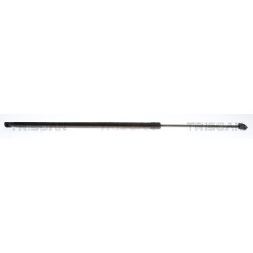 Motorhaubendämpfer 8710 292083 von TRISCAN günstig für 17,72 € online kaufen