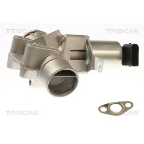 Compre Válvula EGR da TRISCAN 8813 23044 a um preço baixo por 217,92 €
