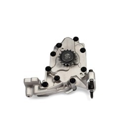 Ölpumpe OP5552 von HEPU günstig für 190,34 € online kaufen