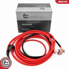 Batterie des Herstellers ESEN SKV - Originalware Artikelnummer: 96SKV333