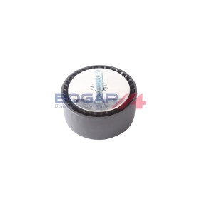 Umlenk- / Führungsrolle, Keilrippenriemen B1320103 von BOGAP günstig für 25,40 € online kaufen