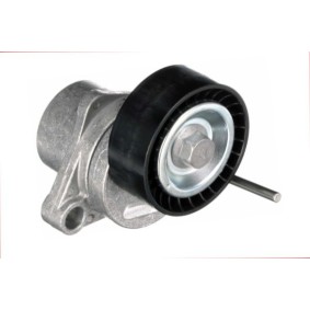 Riemenspanner, Keilrippenriemen BT-0019 von GOOM günstig für 33,47 € online kaufen