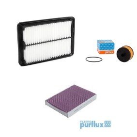 Filterset PFX4055N0040 von PURFLUX günstig für 37,41 € online kaufen
