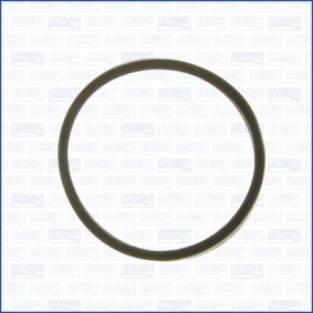 Dichtung, Thermostat für IVECO von AJUSA