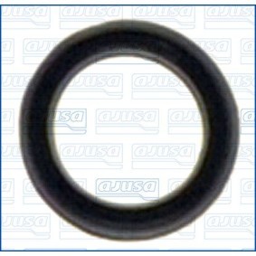 Compre Tubo de radiador de AJUSA online para Kuga Mk1 (C394) a preços moderados
