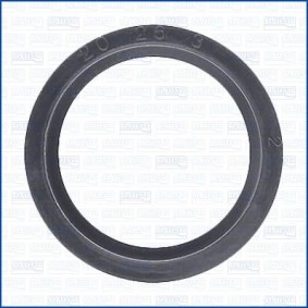 Dichtring, Einspritzventil 01466900 von AJUSA günstig für 2,58 € online kaufen