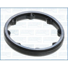 Dichtung, Ölpumpe 01951700 von AJUSA günstig für 6,33 € online kaufen