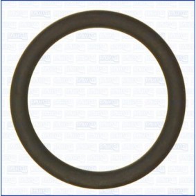Compre Junta, cabo da válvula do regulador de velocidade da AJUSA 16104700 a um preço baixo por 5,37 €