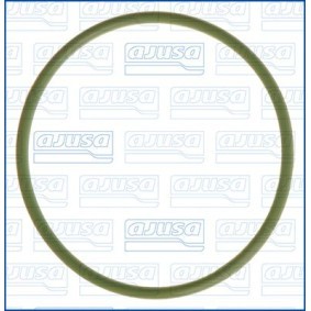 Dichtung, Kraftstoffpumpe 16516300 von AJUSA günstig für 27,35 € online kaufen