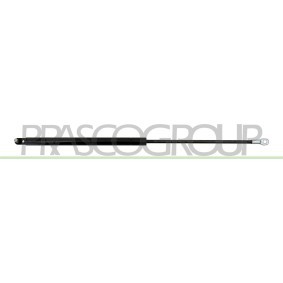 Acquista Bagagliaio da PRASCO online per Panda Hatchback (141_) a prezzi moderati