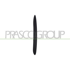 Acquista Griglia paraurti da PRASCO online per Classe C T-Modell (S206) a prezzi moderati