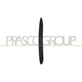 Acquista Griglia paraurti da PRASCO online per Classe C T-Modell (S206) a prezzi moderati