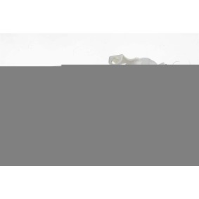 Bremssattel CAL239LJM von JAPKO günstig für 91,43 € online kaufen