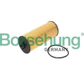 Ölfilter für MERCEDES-BENZ von Borsehung